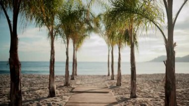 Altın saat boyunca Cannes 'da bir plaj salonunda şık güneşlik ve şemsiyeler.