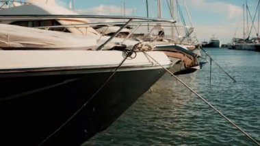 Sakin bir limanda demirlemiş beyaz yatlar ve yelkenliler.