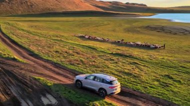 Orhei, Moldova - 20 Ekim 2025: Moldova 'da canlı turuncu sonbahar ağaçları tarafından çerçevelenmiş düz bir kır yolu boyunca giden bir arabanın hava aracı görüntüsü