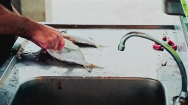 Balık satıcısının elleri paslanmaz çelik bir lavaboda balık temizler ve tırmanır. Yoğun bir pazar hazırlık sahnesinde su sıçrar.