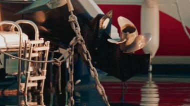 Bir tekne pervanesinin sinematik görüntüsü kırmızı bir gövdenin yanında, su yüzeyindeki canlı renkleri yansıtıyor.