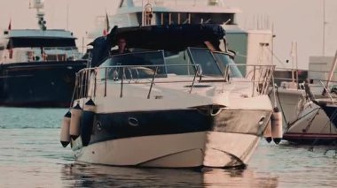 Close up of a fish eye and shimmering scales, revealing detailed textures and colors