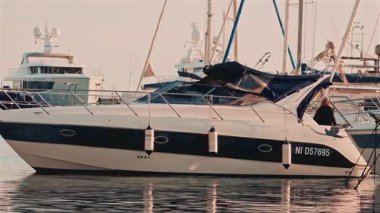 Bir balık gözünü kapat ve parıldayan pullar, ayrıntılı doku ve renkleri ortaya çıkar.