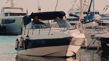 Close up of a fish eye and shimmering scales, revealing detailed textures and colors