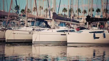 Yat limanında beyaz yelkenliler yan yana demirlemiş.