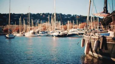 Yachts and sailing boats docked in a marina with sunlight reflecting on the water