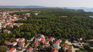 Büyük bir kıyı çam ormanının insansız hava aracı görüntüsü. Biograd na Moru, Hırvatistan