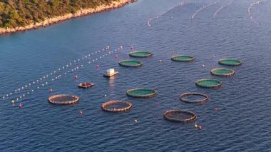 Hırvatistan 'ın Tribunj kenti yakınlarındaki açık deniz su ürünleri kafeslerinin insansız hava aracı görüntüsü, derin mavi Adriyatik Denizi' ndeki geometrik dairesel şekillerde düzenlendi.