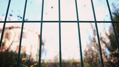 Yolcu treni geçiyor, yukarıdaki elektrik kabloları ve etrafındaki binalarla çerçevelenmiş.