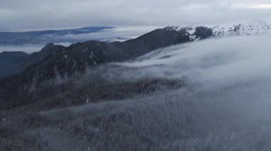 Karla dolu köknar ağaçları ile kış mevsiminin panoramik hava drone görüntüsü. Romanya 'da Transilvanya ve Ciucas Dağı