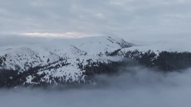 Karla dolu köknar ağaçları ile kış mevsiminin panoramik hava drone görüntüsü. Romanya 'da Transilvanya ve Ciucas Dağı