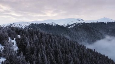 Dağlardaki kış manzarasının panoramik hava aracı görüntüsü. Romanya 'da Transilvanya ve Ciucas Dağı