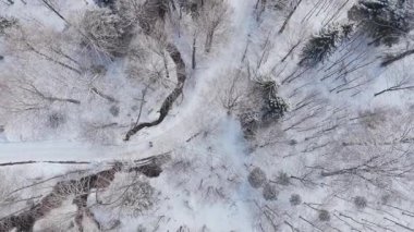 Panoramic aerial drone view of winter season with fir trees full of snow. Transylvania, Mount Ciucas in Romania, Carpathian mountains
