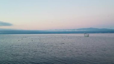 Yumuşak eğimli gökyüzü altında kuşlar ve dağlarla sakin gölde yüzen küçük bir tekne. Ohri Gölü, Kuzey Makedonya