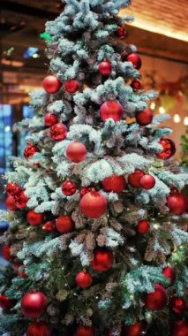 Kar, kırmızı Noel süsleri ve sıcak ip ışıklarıyla süslenmiş ebedi yeşil dalların tozunu aldı. Dikey