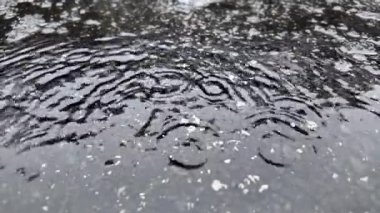 Yağmur damlaları asfalt bir yüzeye çarpar ve ıslak kış havasında dairesel dalgalanmalar ve yansımalar oluşturur.
