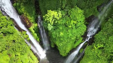 Kuzey Bali, Endonezya 'daki Sekumpul Şelalesi' nde çoklu çağlayan hava aracı görüntüsü. Uzun beyaz akarsular, canlı yeşil bitki örtüsüyle kaplı dik yağmur ormanları uçurumlarından aşağı akar.