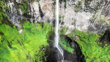 Madagaskar 'daki yoğun tropikal yağmur ormanı bitki örtüsüyle çevrili, kayalık bir havza içine, yemyeşil bir uçurumdan dökülen çoklu şelalenin hava aracı görüntüsü.