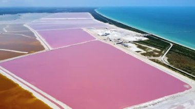 Meksika 'daki Yucatan Yarımadası' ndaki pembe tuz göllerinin hava aracı görüntüsü Karayipler kıyısındaki canlı pembe suyla geometrik tuz buharlaşma havuzlarını gösteriyor.