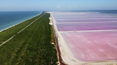 Karayip Denizi yakınlarındaki Yucatan Yarımadası 'nın kıyı şeridi boyunca uzanan pembe tuz buharlaştırma göletlerinin hava aracı görüntüsü.