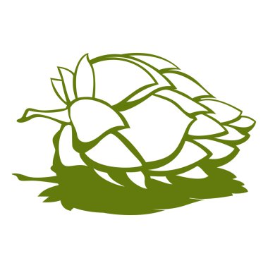 Çiçek bira madde hop