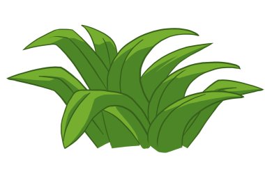 yeşil çimenler beyazda izole edilmiş.