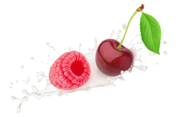 Cherry and raspberry in milk splashes isolated on white background. — Stok Foto