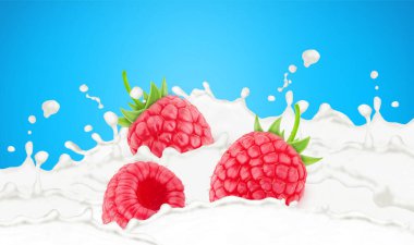 Mavi arka planda izole edilmiş süt damlalarındaki ahududu..