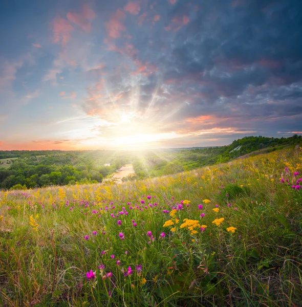 güzel yaz gündoğumu