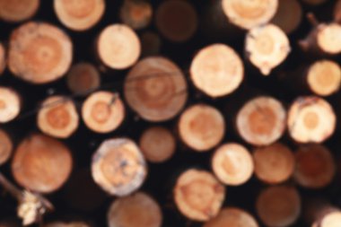 Odaklanmamış ahşap doğal arka plan, kesme daire günlüğe kaydeder.