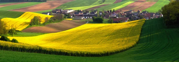 Goldene Felder, strahlender Sommertag — Stockfoto