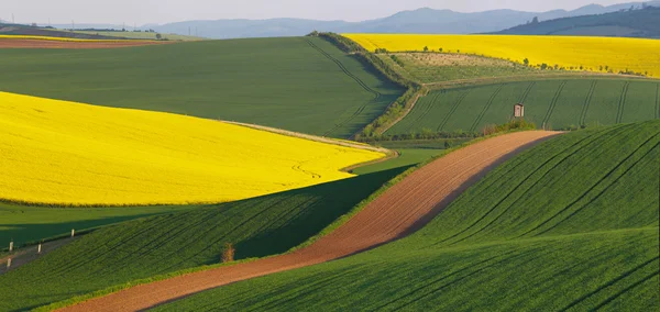Soyut manzara, parlak yaz gün