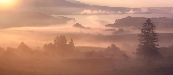 Mlhavé letní ráno na horách — Stock fotografie
