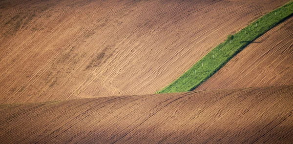 Campo cultivado marrón —  Fotos de Stock