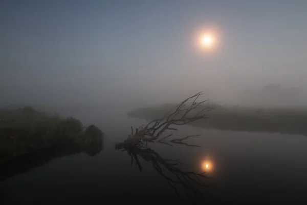 Туманная ночь на озере — стоковое фото