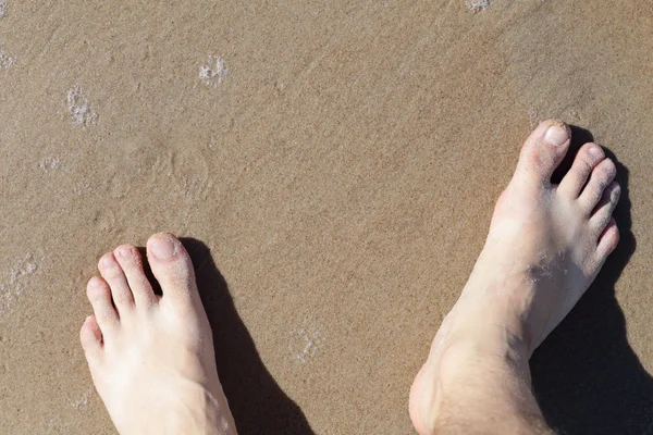 Perna na areia do mar — Fotografia de Stock
