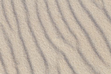 Deniz kum tepeleri, üstten görünüm