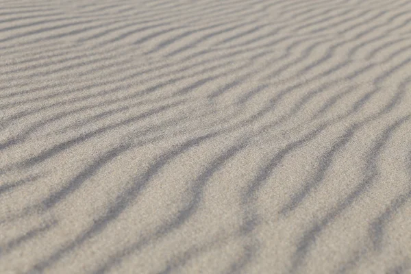 Sea sand at sunset light — Stock Photo, Image