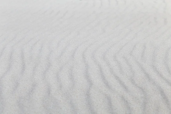 Dunas de areia do mar, foco seletivo — Fotografia de Stock
