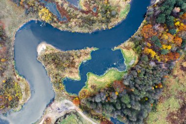 Renkli sonbahar nehir kenarları yukarıdan aşağıya bakıyor. Soyut sonbahar arkaplanı.