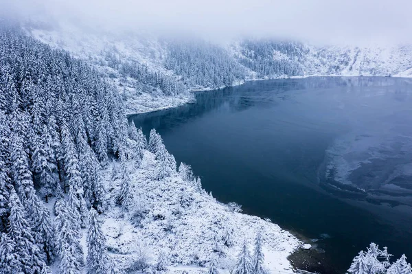 Winter lake with frosty christmas trees covered with white snow. Winter christmas background. Mountain landscape with frozen lake.