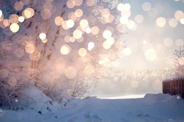 Nieve Navidad Con Luz Solar Paisaje Invierno Navidad Con Copos —  Fotos de Stock