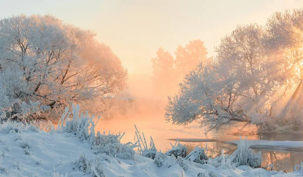 Weihnachtswinterlandschaft Magisches Sonnenlicht Frostbedeckten Bäumen Weiße Bäume Weihnachtsmorgen — Stockfoto