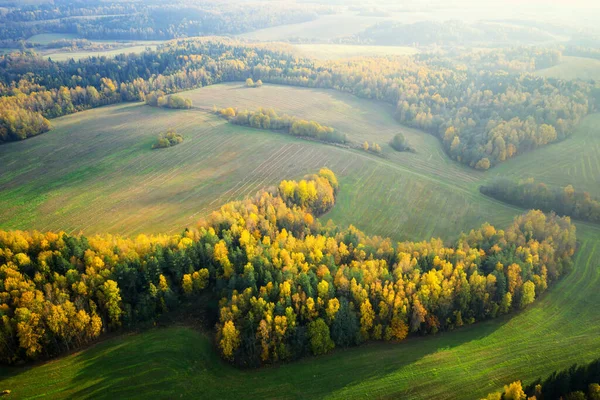 Autumn landscape with fields and colorful forest from above. Fall scene aerial drone view. Mist over hills and meadows in autumn morning. Fall scenic background.