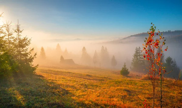 Otoño Soleado Amanecer Sobre Valle Escénico Escénica Mañana Otoño Las —  Fotos de Stock