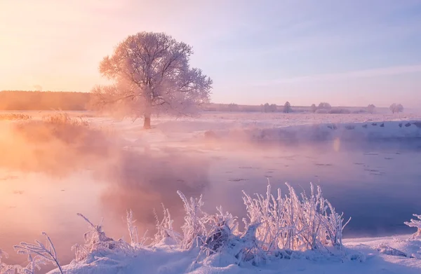 Niebla invierno amanecer — Foto de Stock