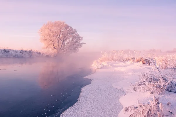 Luminosa alba invernale — Foto Stock