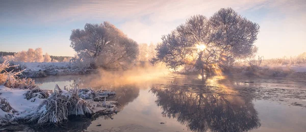 明媚的冬日的黎明 — 图库照片