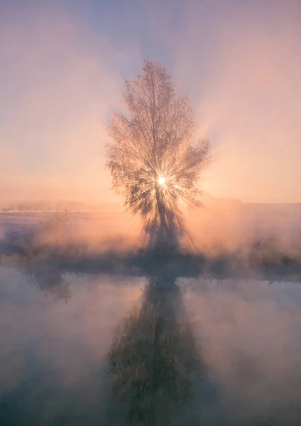 Lever de soleil d'hiver lumineux — Photo