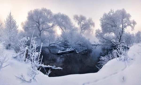 Paisagem de inverno de fadas — Fotografia de Stock